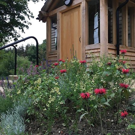 South Downs Eco Lodge & Camping East Meon Exterior photo