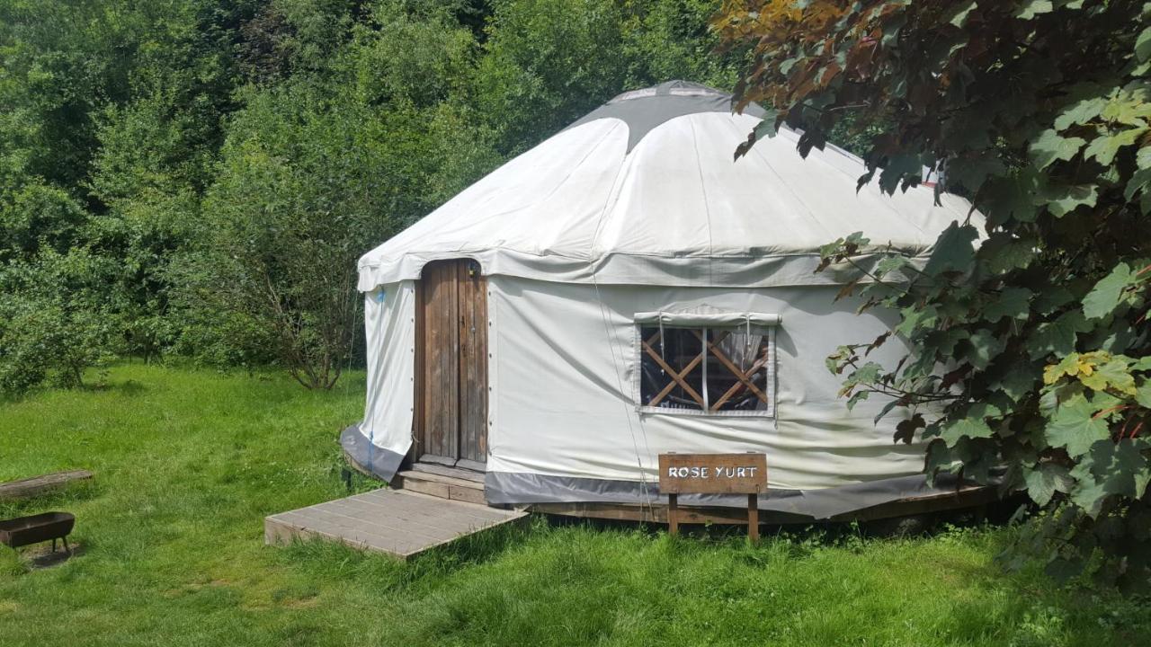 South Downs Eco Lodge & Camping East Meon Exterior photo