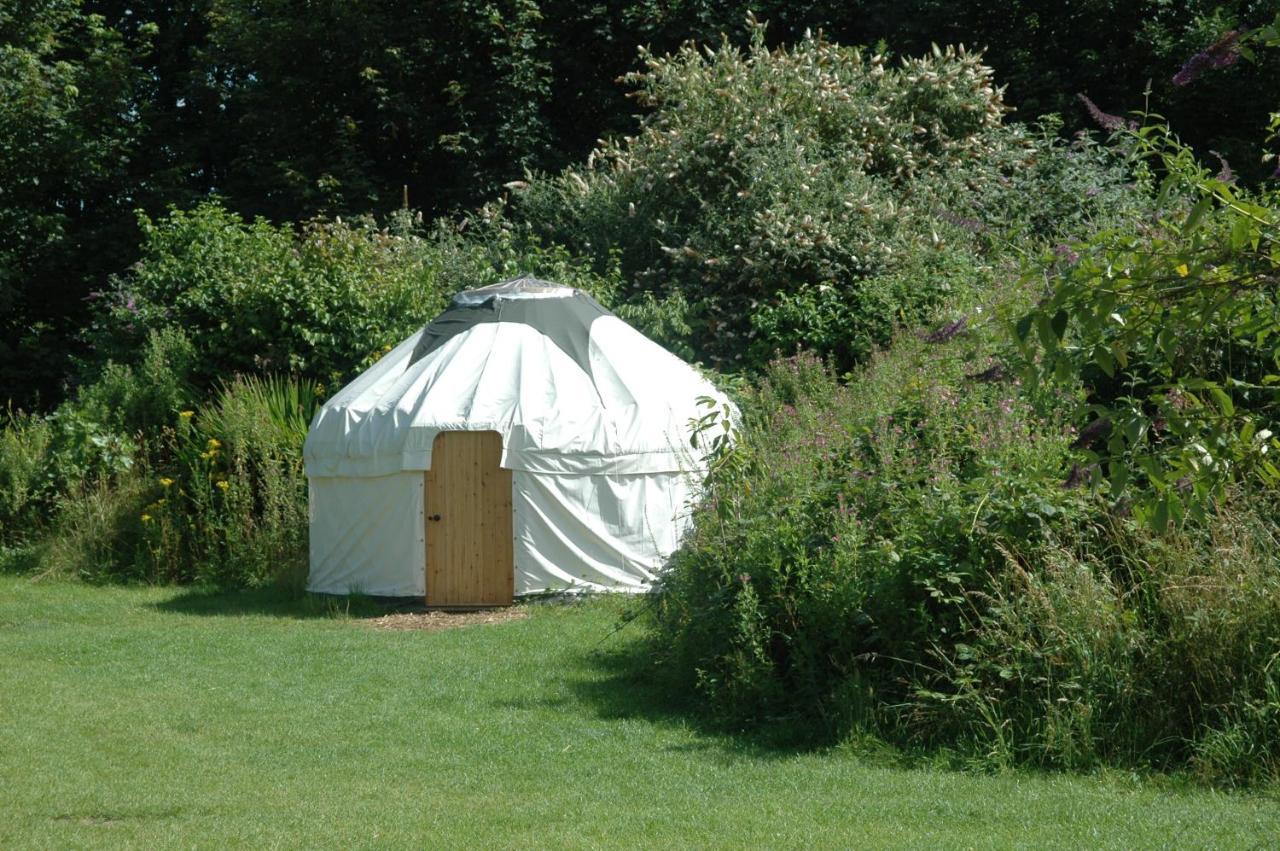 South Downs Eco Lodge & Camping East Meon Exterior photo