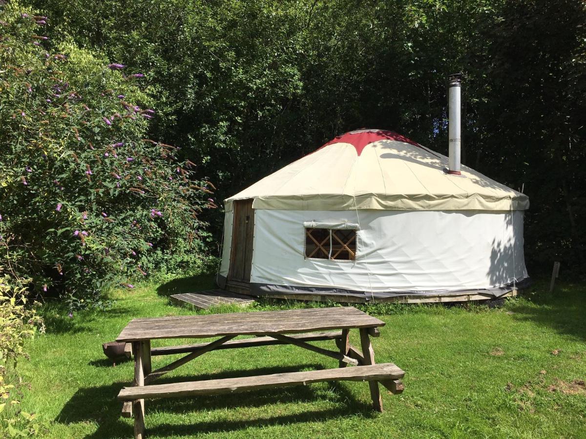 South Downs Eco Lodge & Camping East Meon Exterior photo