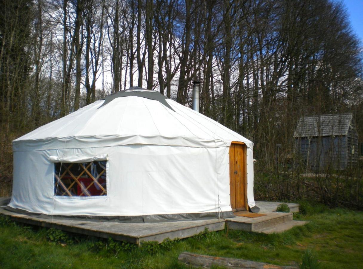 South Downs Eco Lodge & Camping East Meon Exterior photo