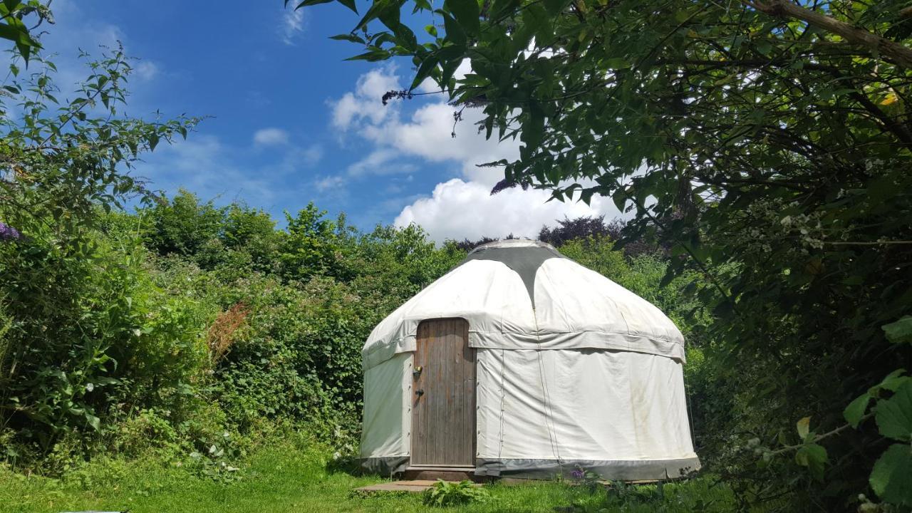 South Downs Eco Lodge & Camping East Meon Exterior photo