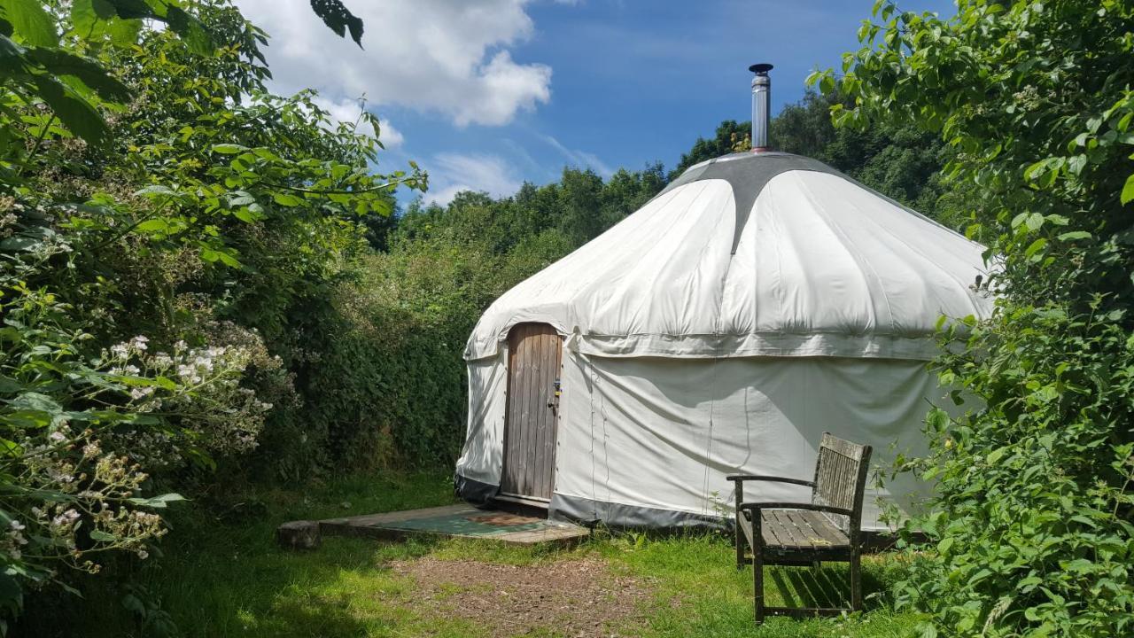 South Downs Eco Lodge & Camping East Meon Exterior photo